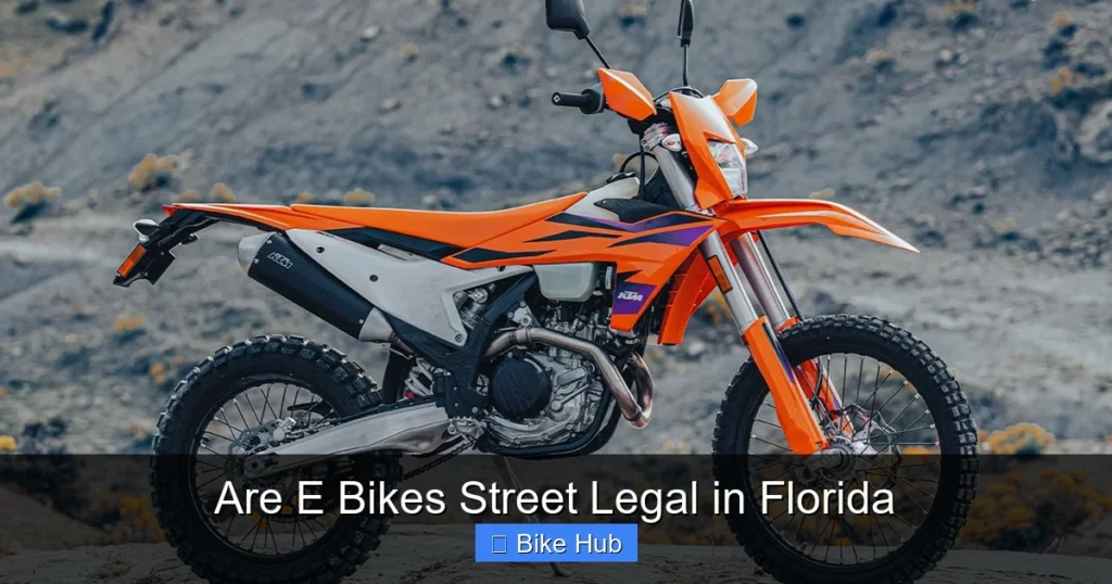 Are E Bikes Street Legal in Florida