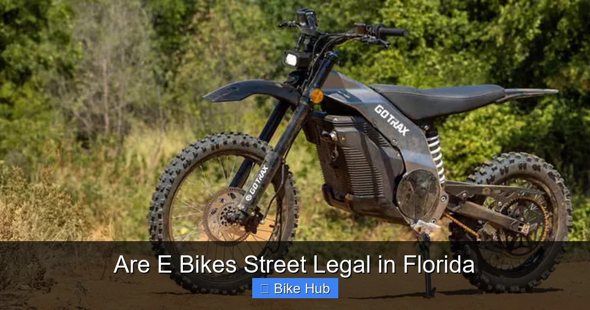 Are E Bikes Street Legal in Florida