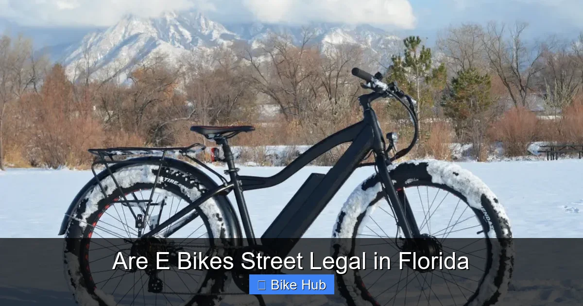 Are E Bikes Street Legal in Florida