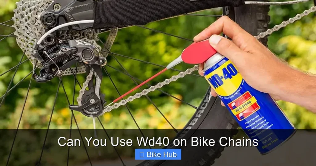 Can You Use Wd40 on Bike Chains