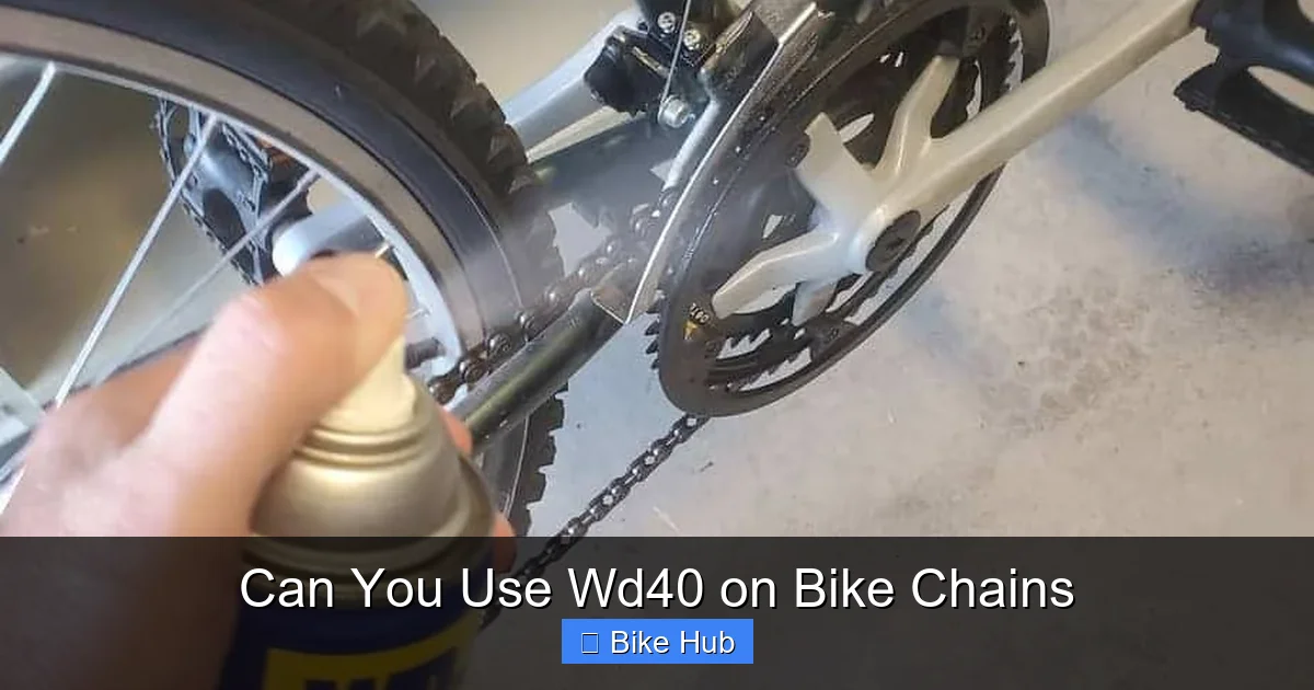 Can You Use Wd40 on Bike Chains