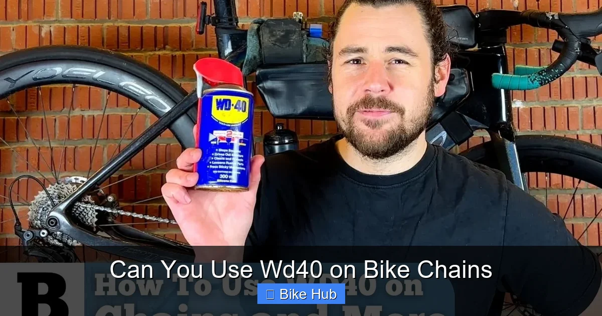 Can You Use Wd40 on Bike Chains