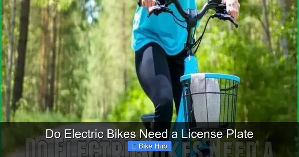 Do Electric Bikes Need a License Plate