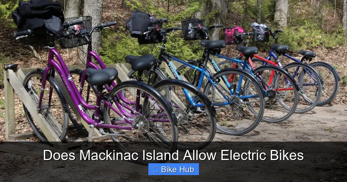 Does Mackinac Island Allow Electric Bikes