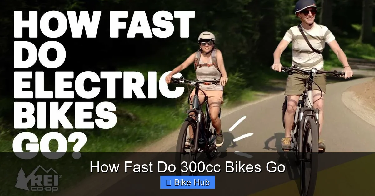 How Fast Do 300cc Bikes Go