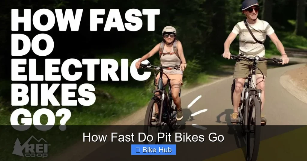 How Fast Do Pit Bikes Go