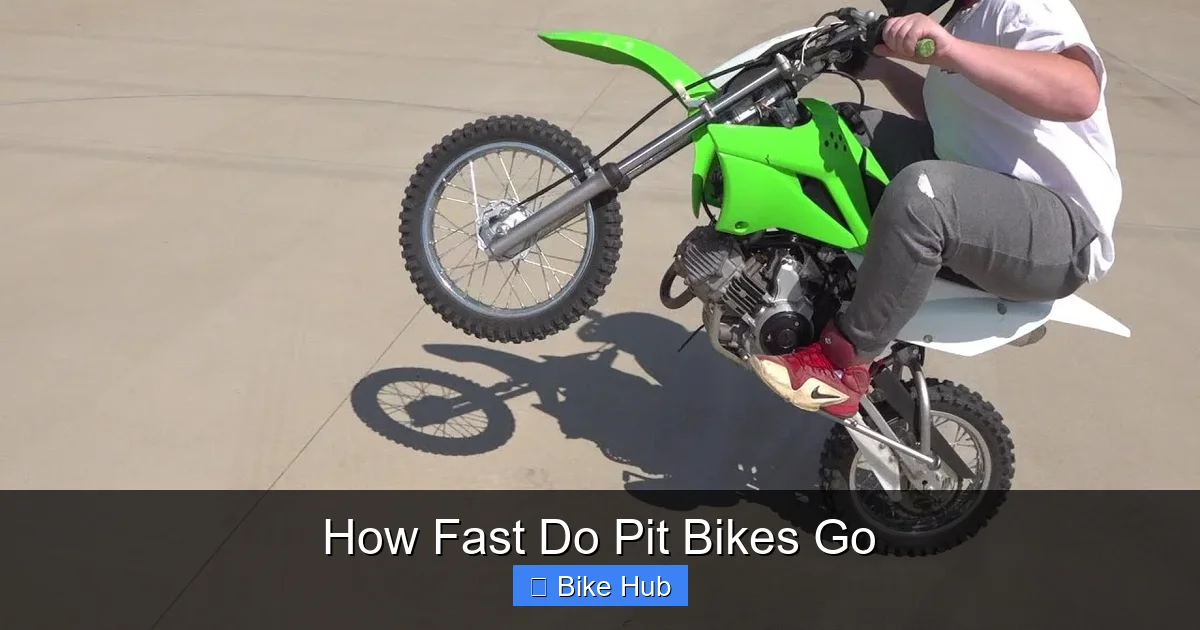 How Fast Do Pit Bikes Go