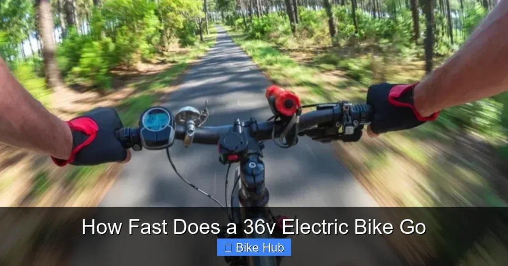 How Fast Does a 36v Electric Bike Go