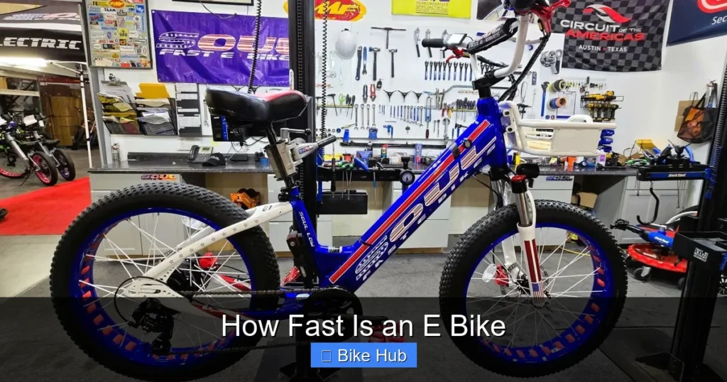 How Fast Is an E Bike