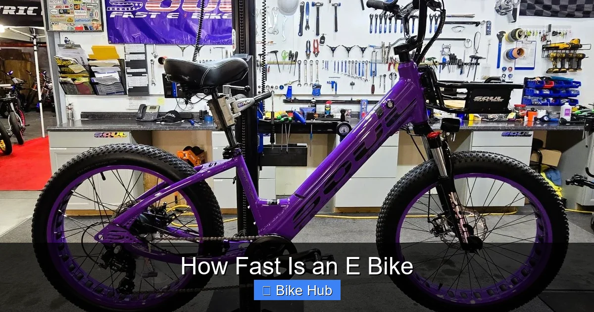 How Fast Is an E Bike
