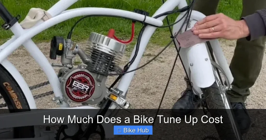 How Much Does a Bike Tune Up Cost