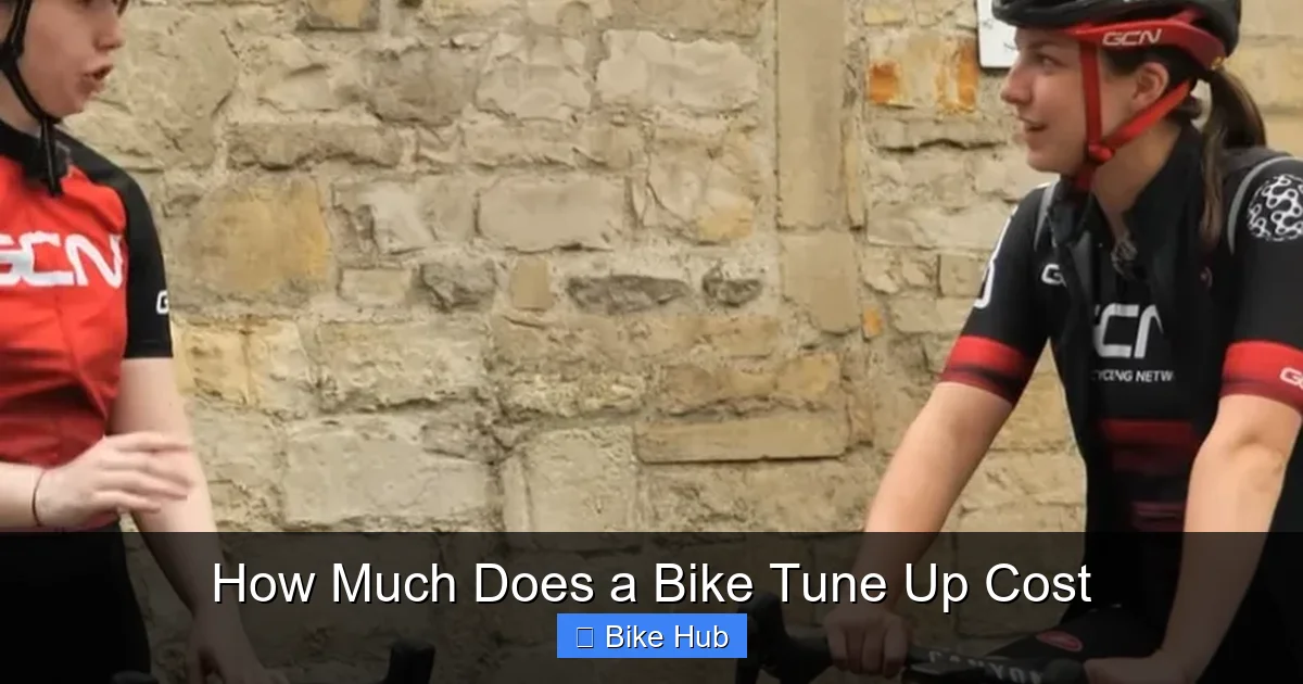 How Much Does a Bike Tune Up Cost