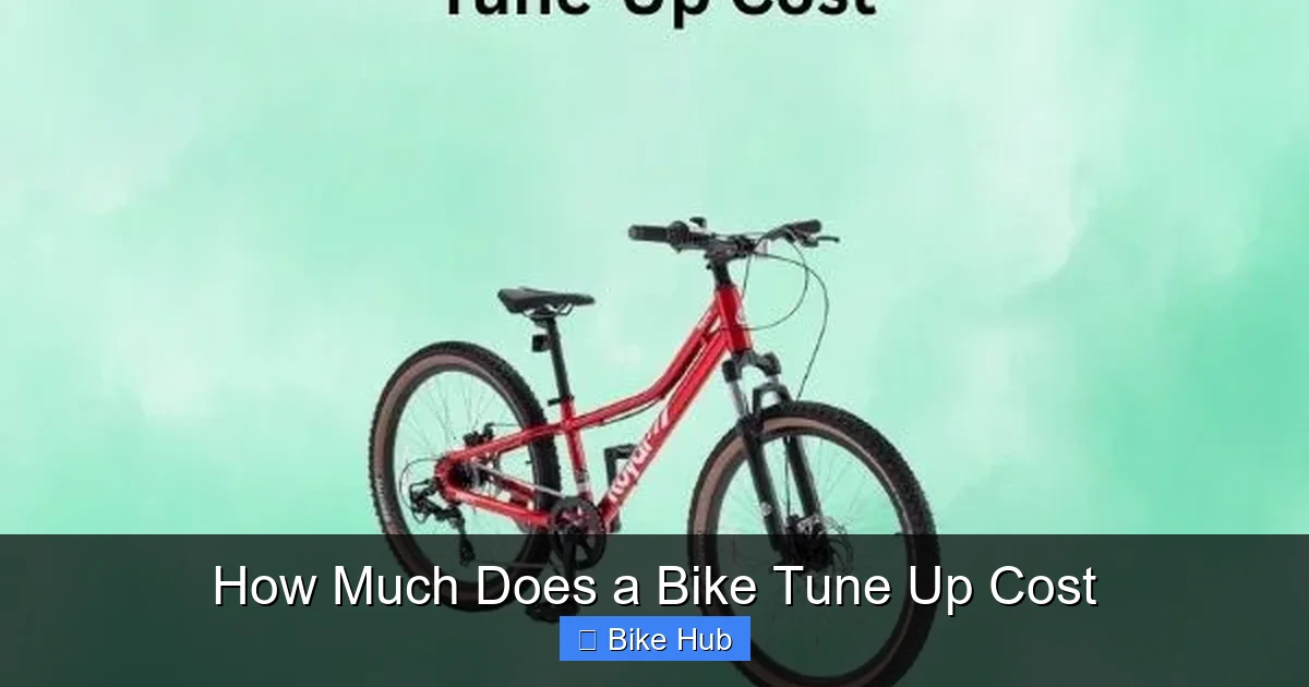 How Much Does a Bike Tune Up Cost