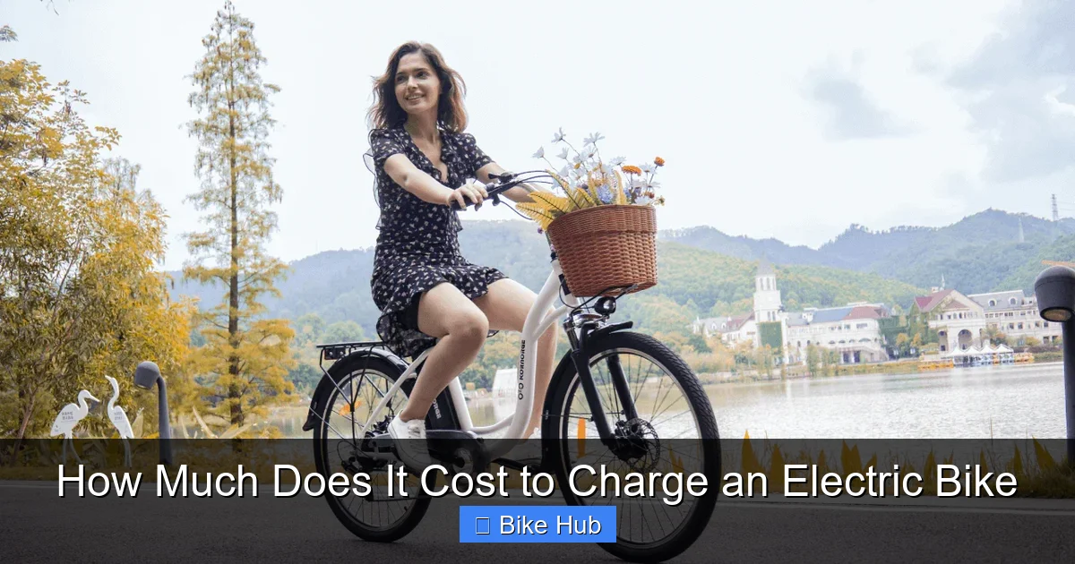 How Much Does It Cost to Charge an Electric Bike