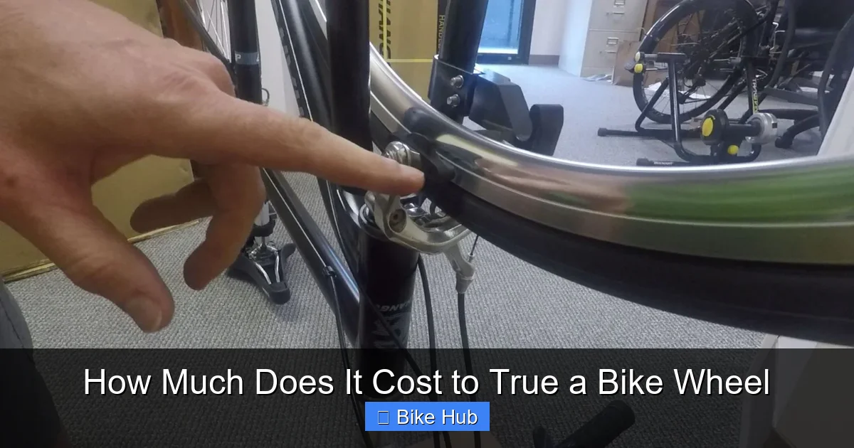 How Much Does It Cost to True a Bike Wheel