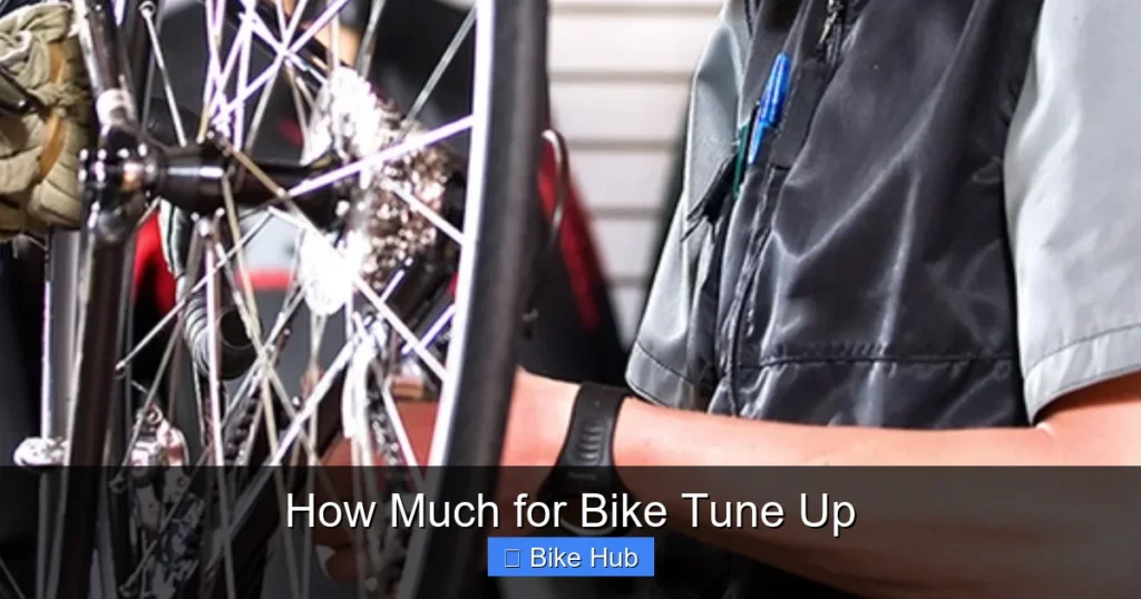How Much for Bike Tune Up