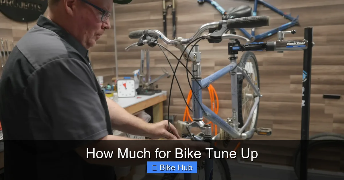 How Much for Bike Tune Up