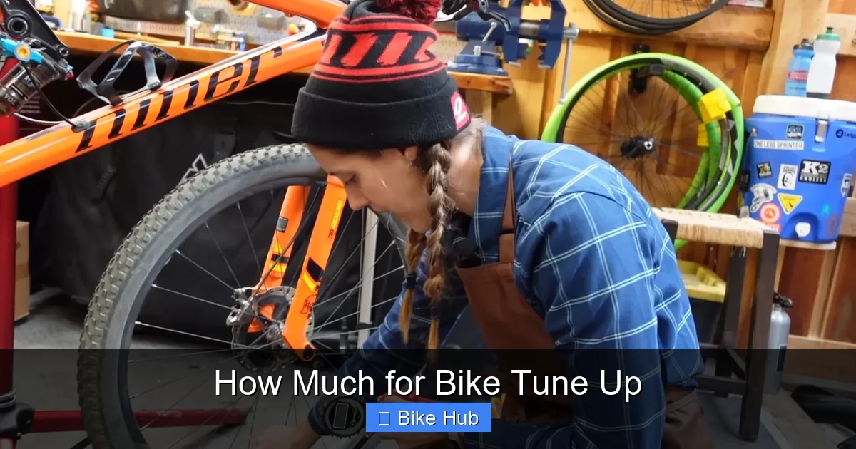 How Much for Bike Tune Up