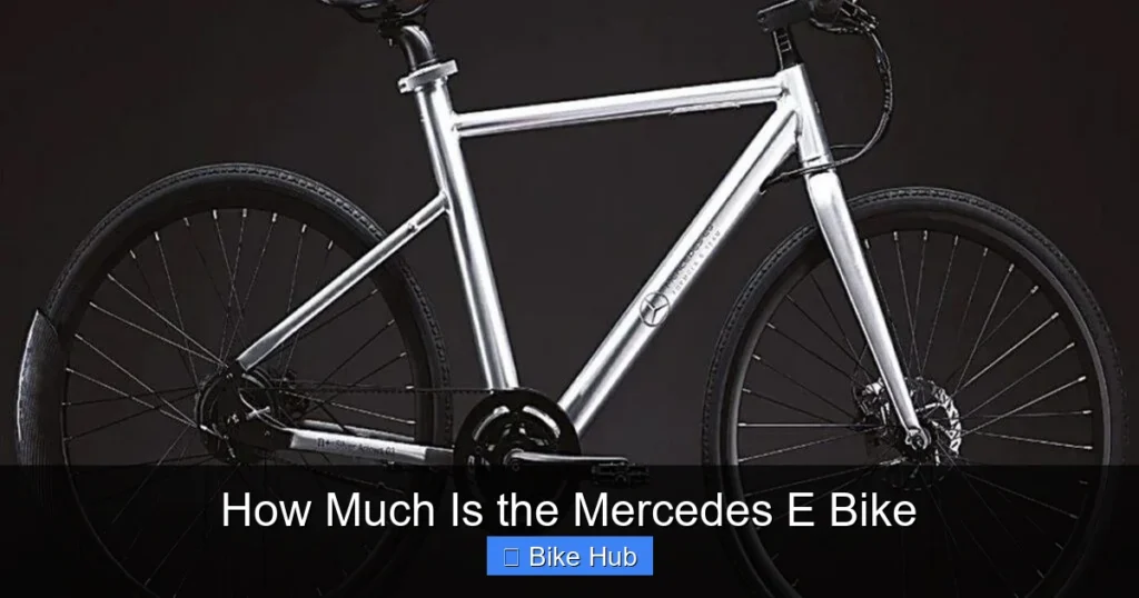 How Much Is the Mercedes E Bike