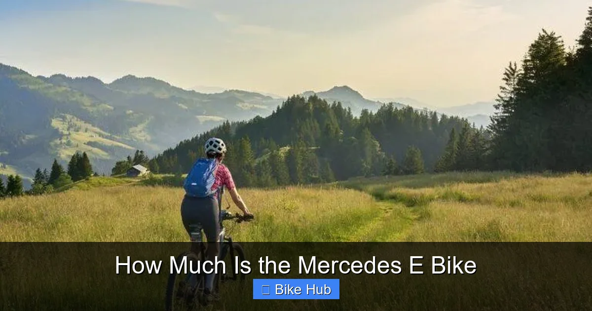 How Much Is the Mercedes E Bike