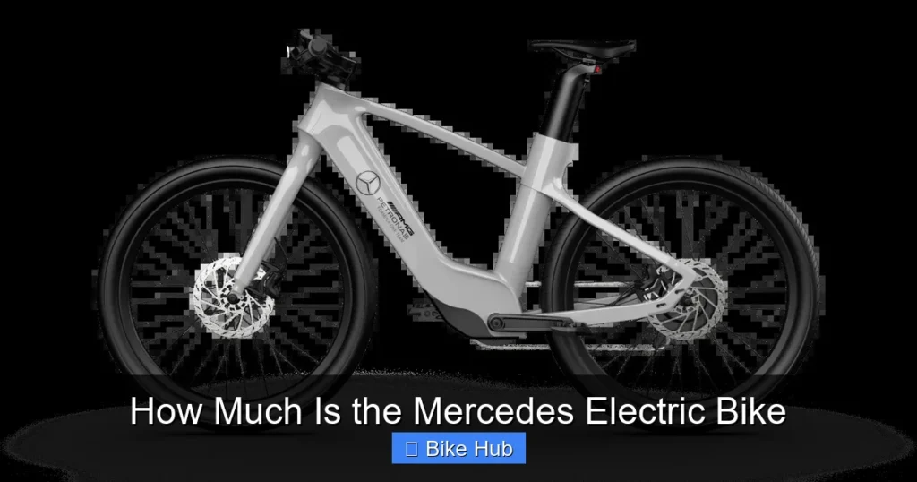 How Much Is the Mercedes Electric Bike