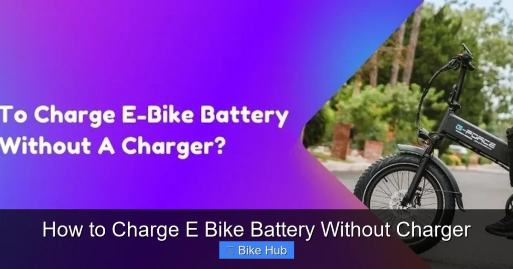 How to Charge E Bike Battery Without Charger