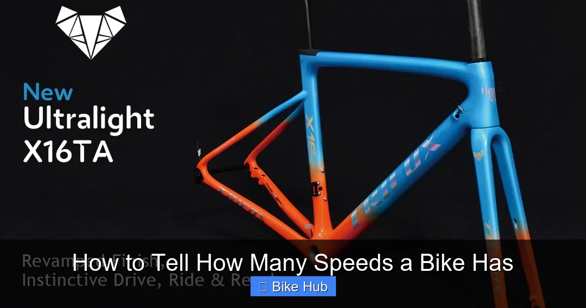 How to Tell How Many Speeds a Bike Has
