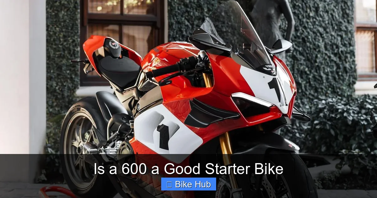 Is a 600 a Good Starter Bike