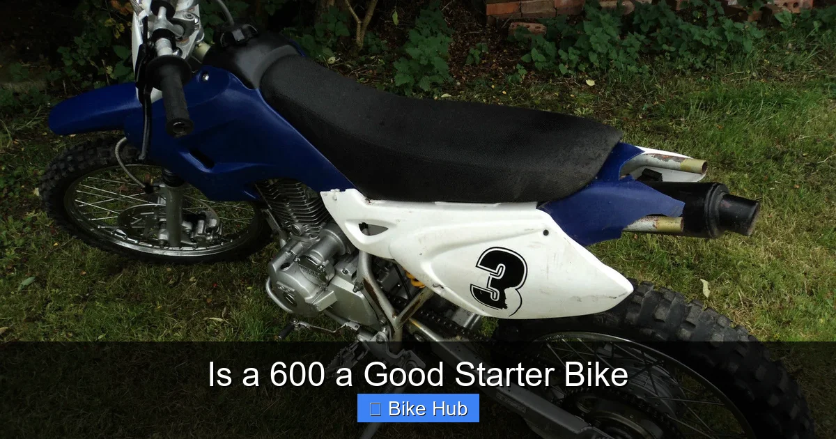 Is a 600 a Good Starter Bike