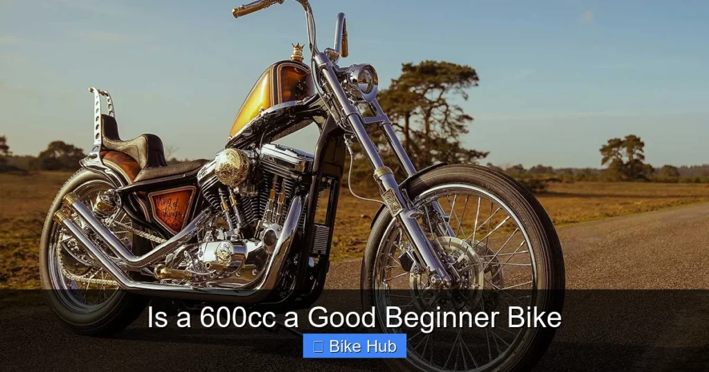 Is a 600cc a Good Beginner Bike