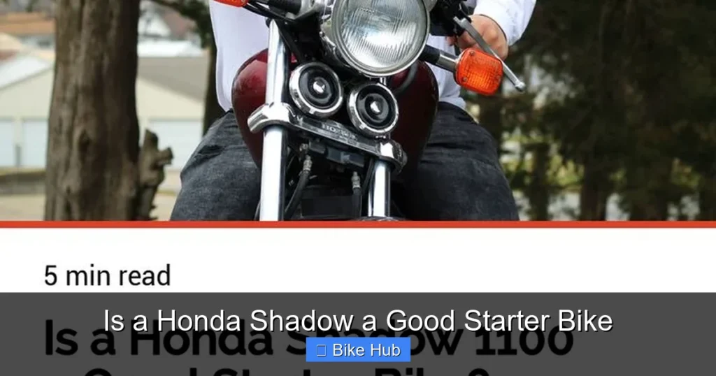Is a Honda Shadow a Good Starter Bike