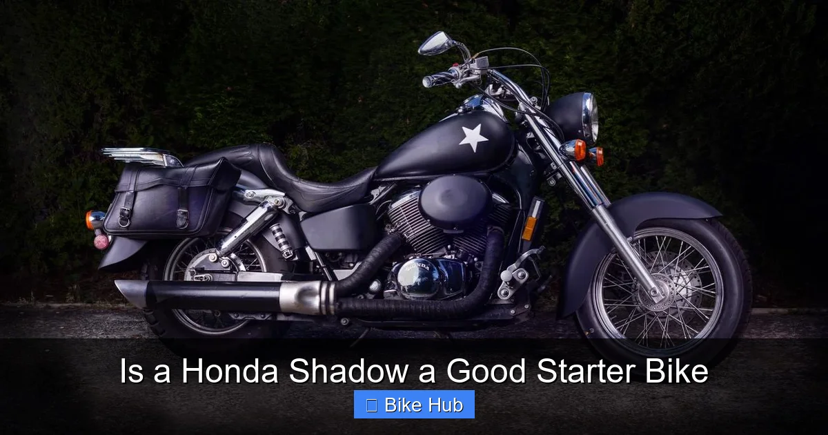 Is a Honda Shadow a Good Starter Bike