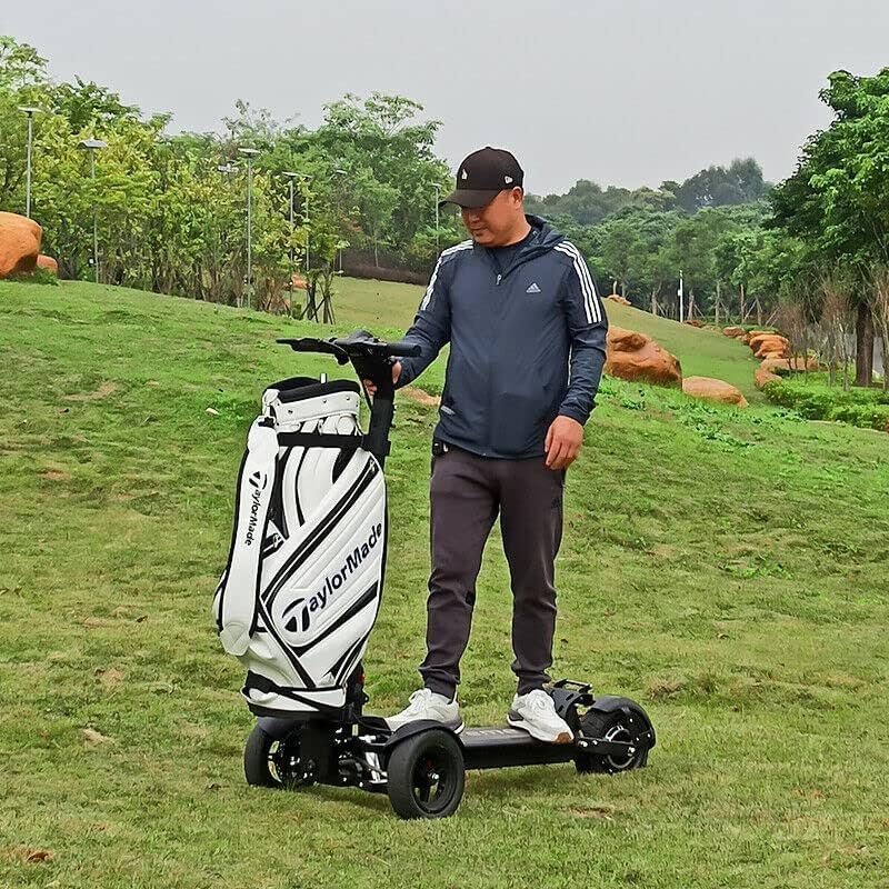 Eswing 1200W 48V Electric Off-Road Golf Cart Scooter Vehicle