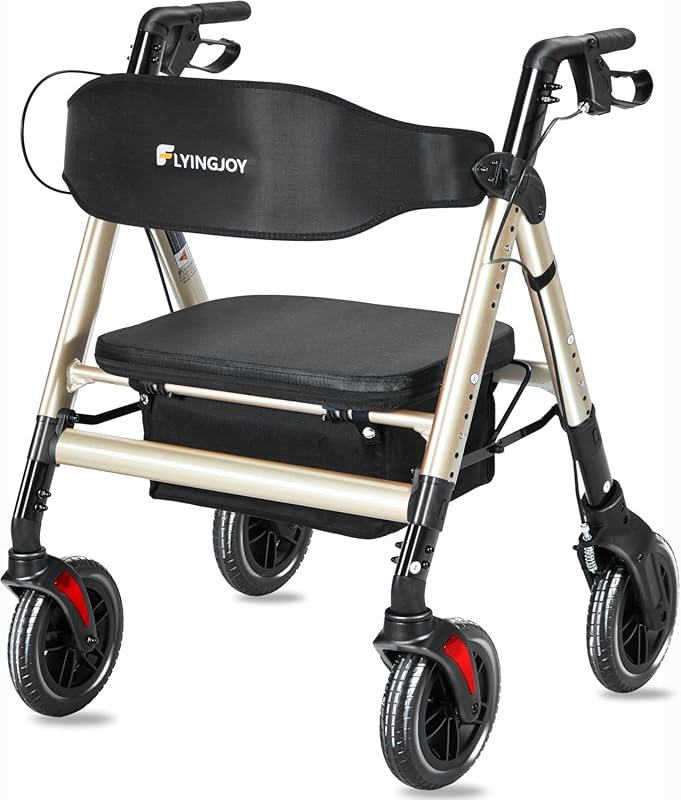 Heavy-Duty Rollator Walker with Seat and Brakes, 450lb Capacity, Extra