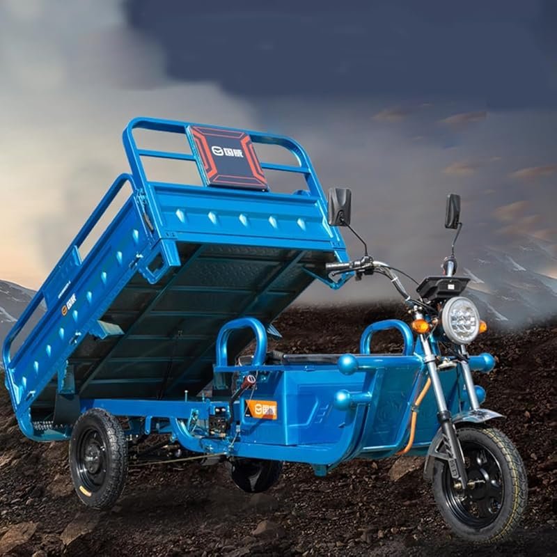 1000W Electric Tricycle Cargo Van for Delivery, Agriculture & Elderly
