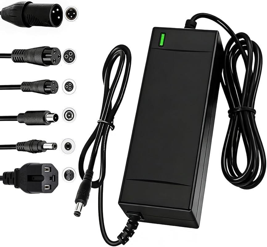 SGS Certified 54.6V 2A Fast Charger for 48V Ebike Batteries, Compatibl