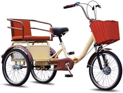 3-Wheel Cruiser Trike with Spoked Wheels, Passenger Seat & Cargo Carri