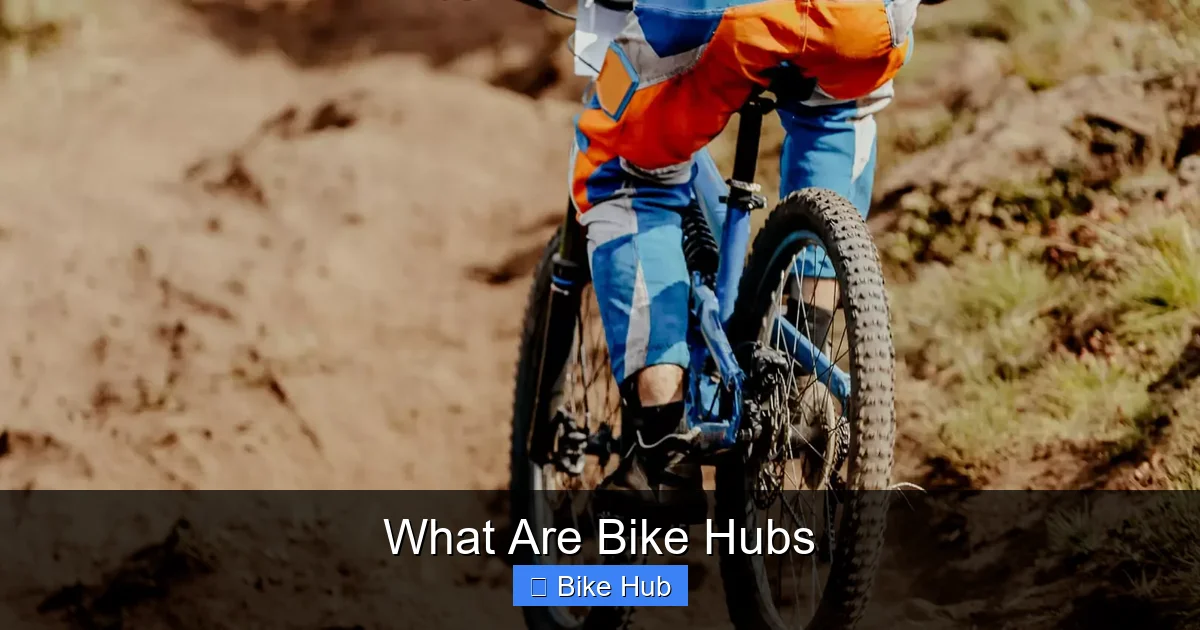 What Are Bike Hubs