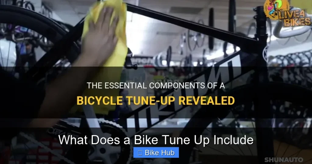 What Does a Bike Tune Up Include
