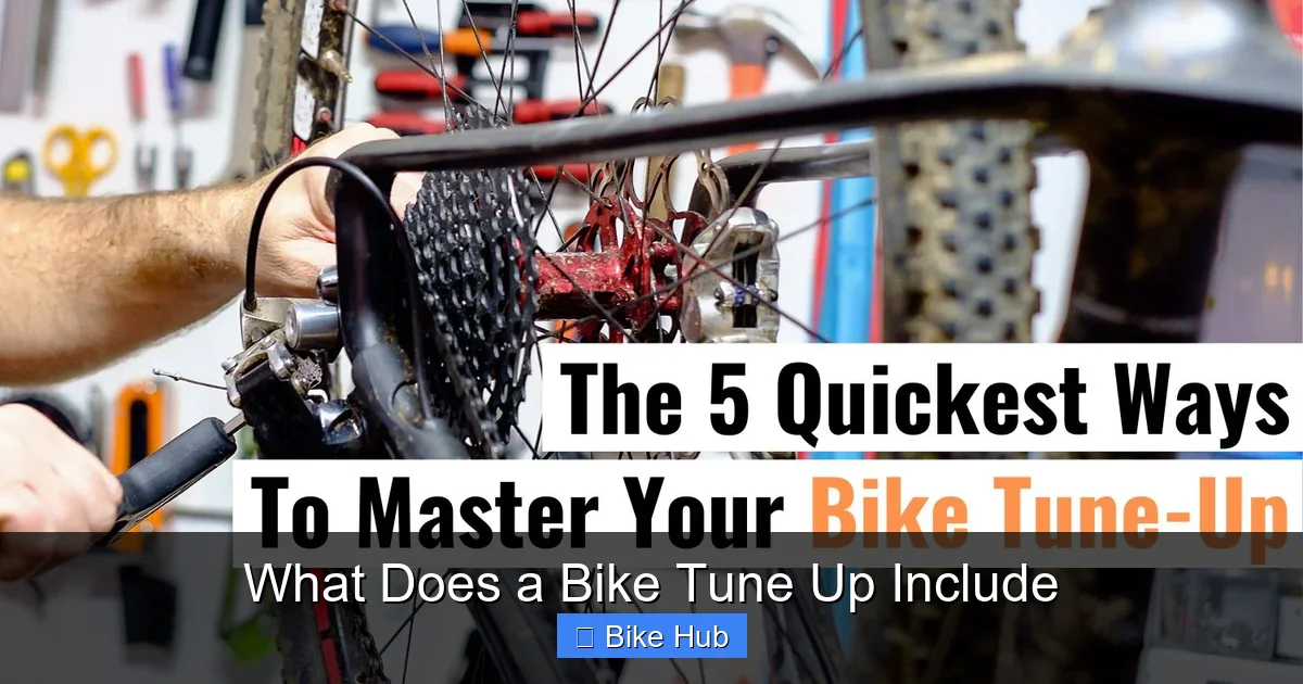 What Does a Bike Tune Up Include