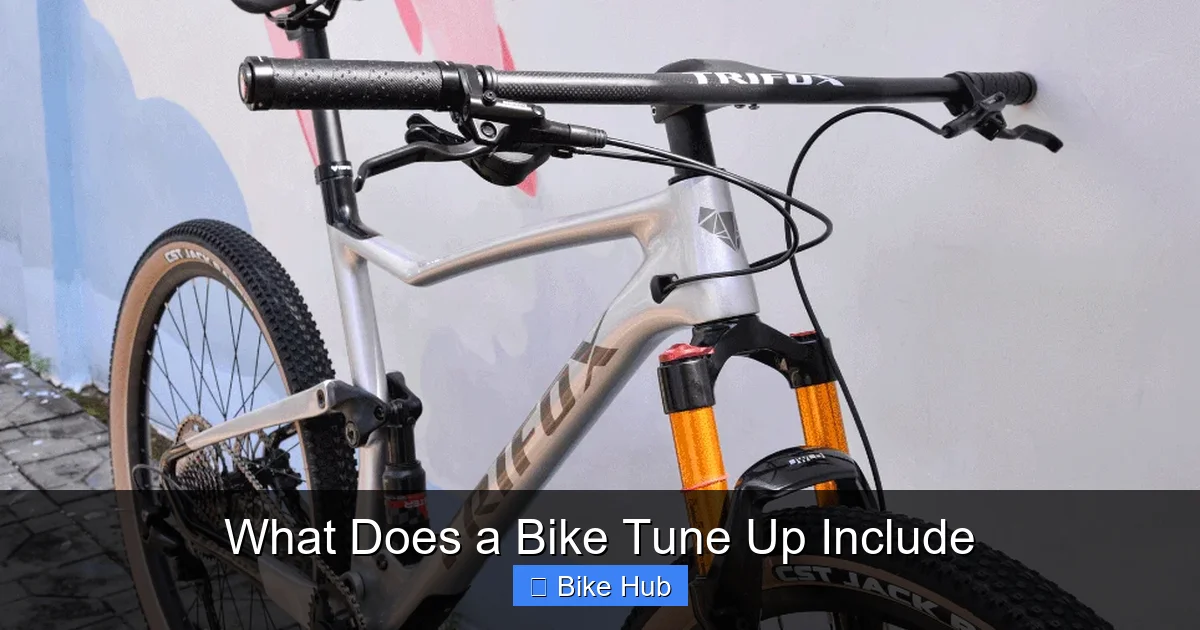 What Does a Bike Tune Up Include