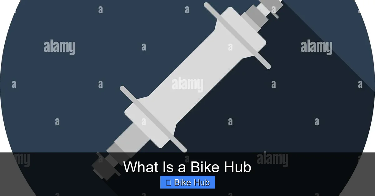 What Is a Bike Hub