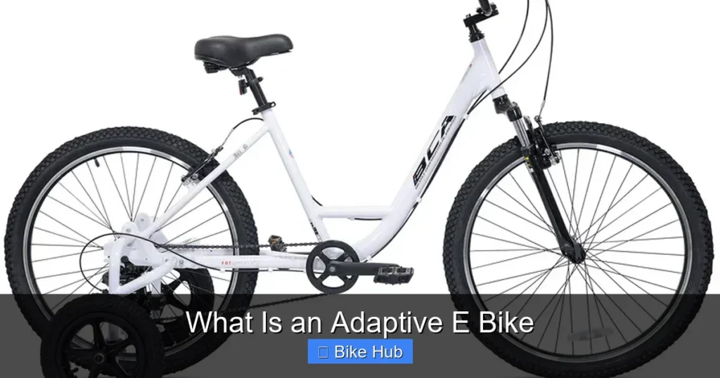 What Is an Adaptive E Bike
