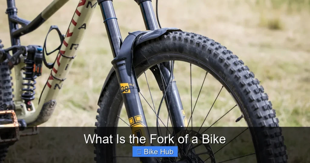 What Is the Fork of a Bike