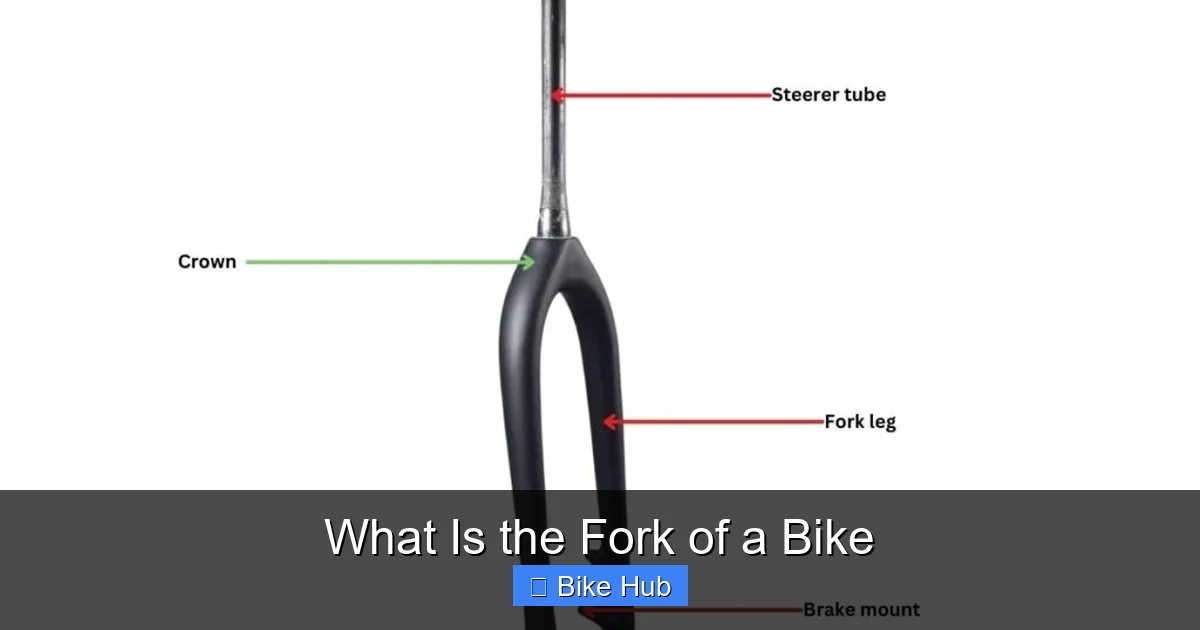 What Is the Fork of a Bike