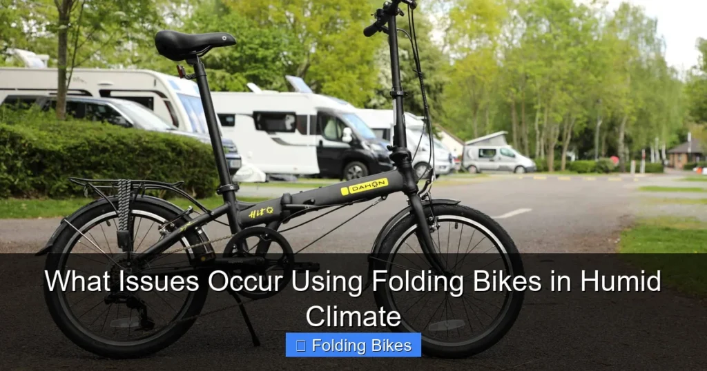 What Issues Occur Using Folding Bikes in Humid Climate