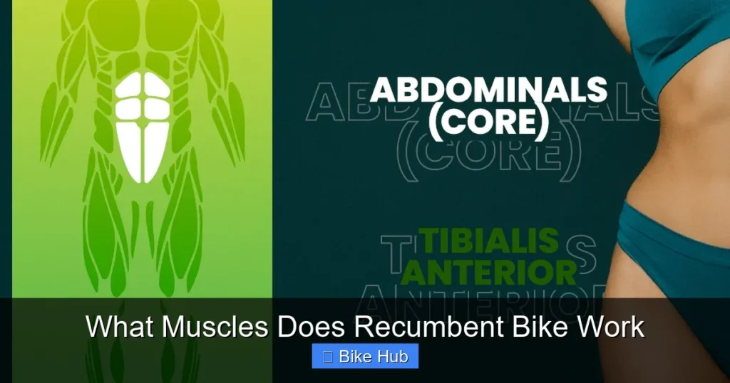 What Muscles Does Recumbent Bike Work