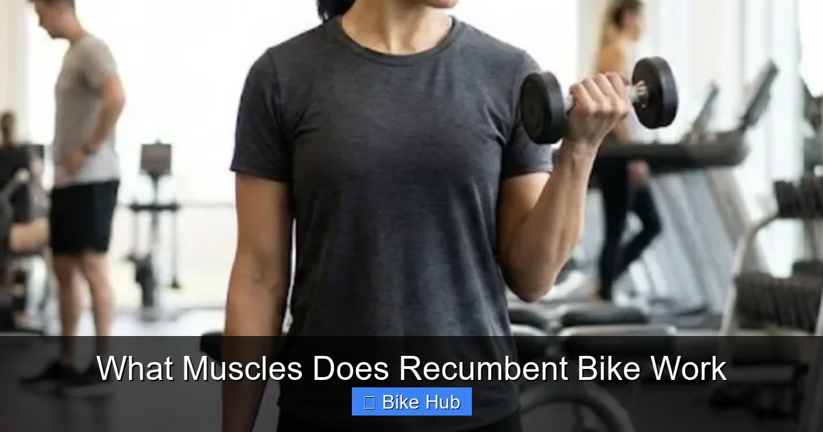 What Muscles Does Recumbent Bike Work