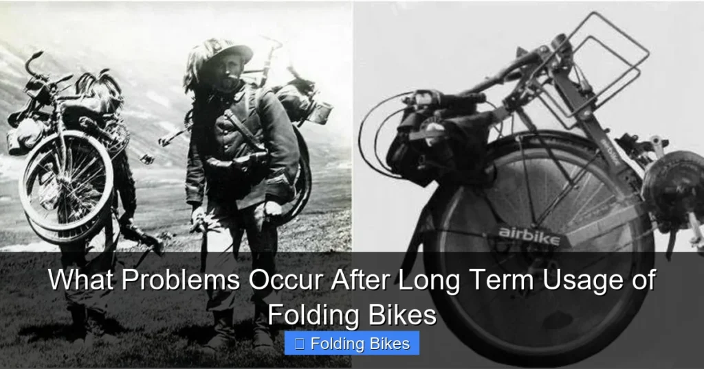 What Problems Occur After Long Term Usage of Folding Bikes