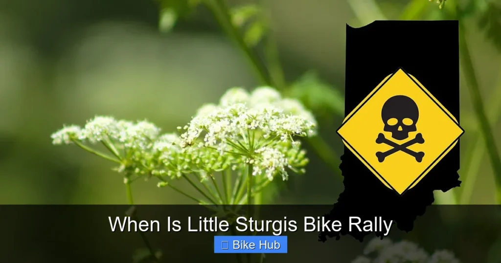 When Is Little Sturgis Bike Rally